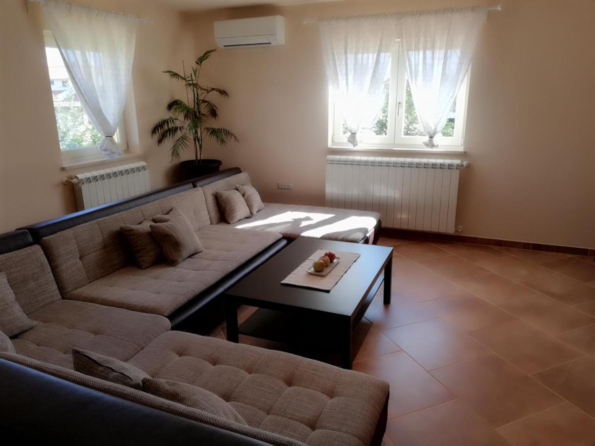 Apartman Nikola Ladrovici Экстерьер фото