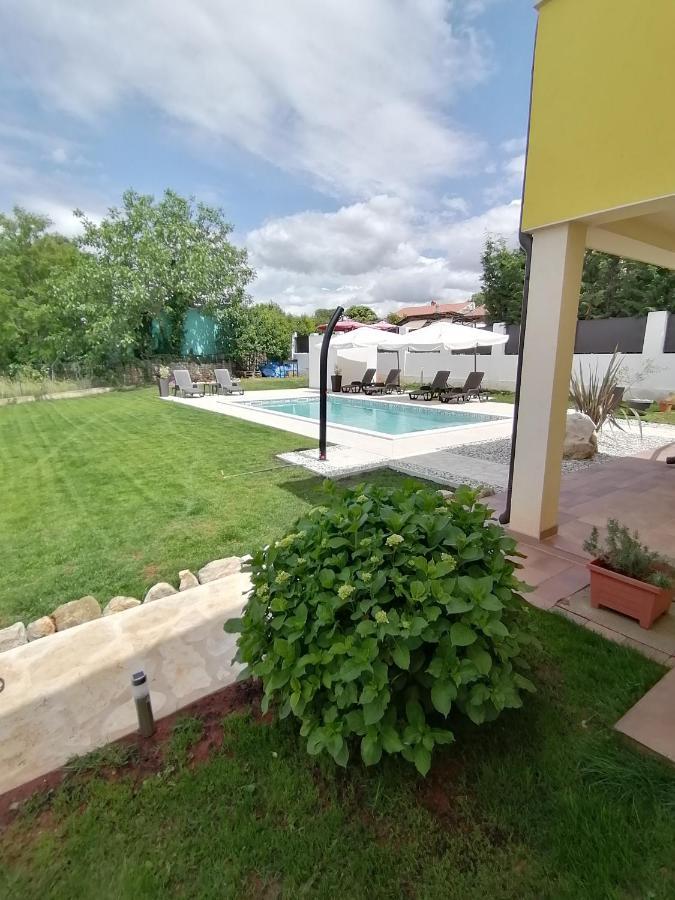 Apartman Nikola Ladrovici Экстерьер фото